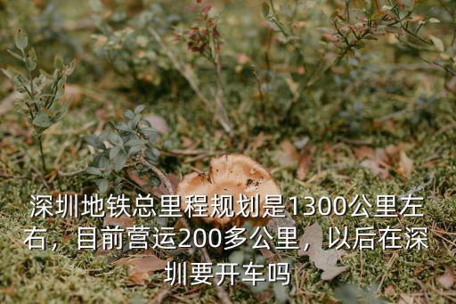 深圳地鐵總里程規劃是1300公里左右，目前營運200多公里，以后在深圳要開車嗎