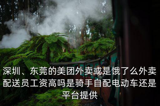 深圳、東莞的美團外賣或是餓了么外賣配送員工資高嗎是騎手自配電動車還是平臺提供