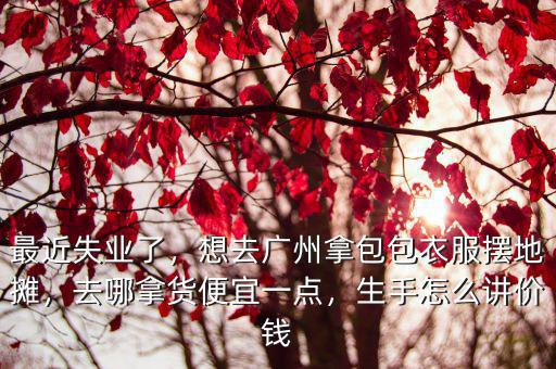 去廣州拿多少錢錢衣服,在廣州拿8000塊錢