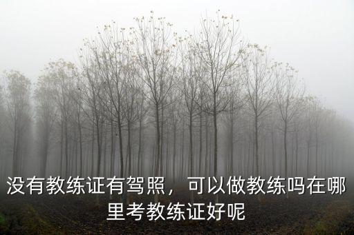 東莞哪里有c1教練證,在哪里考教練證好呢