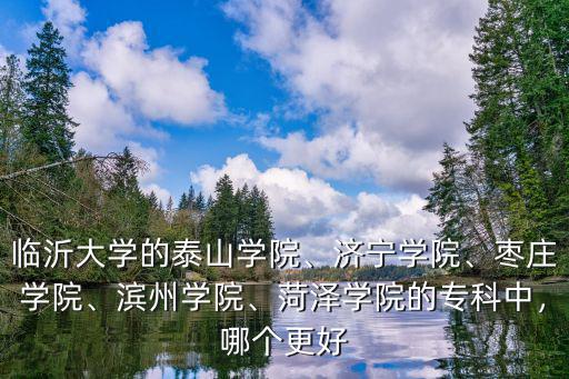 臨沂大學的泰山學院、濟寧學院、棗莊學院、濱州學院、菏澤學院的專科中，哪個更好