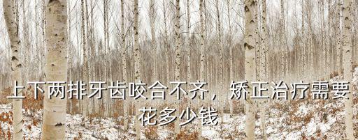 廣州上下牙齒矯正大概要花多少錢,上下兩排牙齒咬合不齊