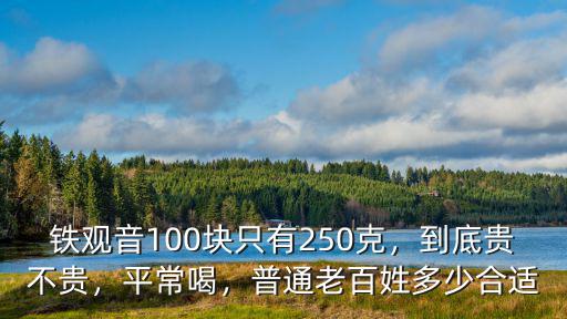 汕頭鐵觀音多少錢,鐵觀音100塊只有250克