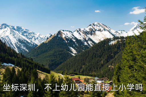 坐標(biāo)深圳，不上幼兒園能直接上小學(xué)嗎