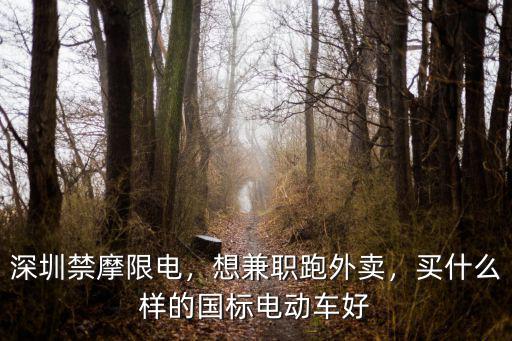 在深圳可以買怎么樣子的電動車,在深圳想買第一輛車