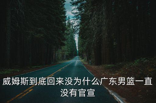 威姆斯到底回來沒為什么廣東男籃一直沒有官宣