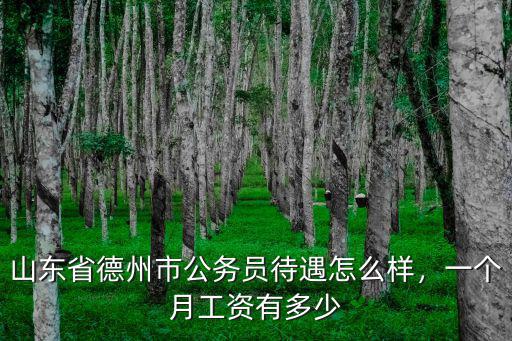 德州聚力多少錢一個月,一個月工資有多少