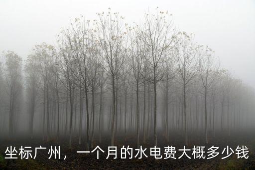 坐標廣州，一個月的水電費大概多少錢