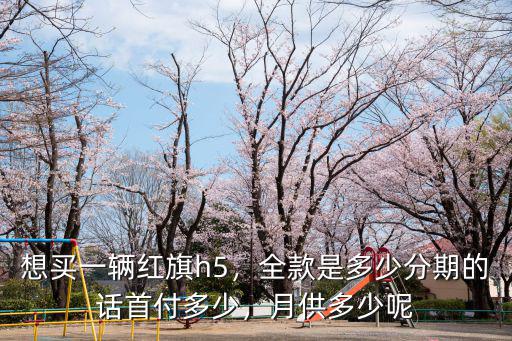 濟南紅旗h5首付需要多少,最低首付需要多少錢