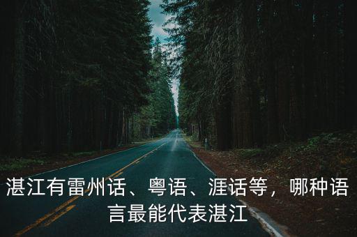 湛江有多少土話,湛江有雷州話