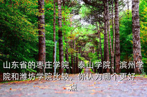 山東省的棗莊學院、泰山學院、濱州學院和濰坊學院比較，你認為哪個更好一點