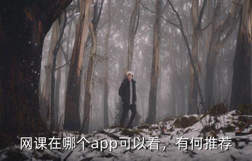 網課在哪個app可以看，有何推薦