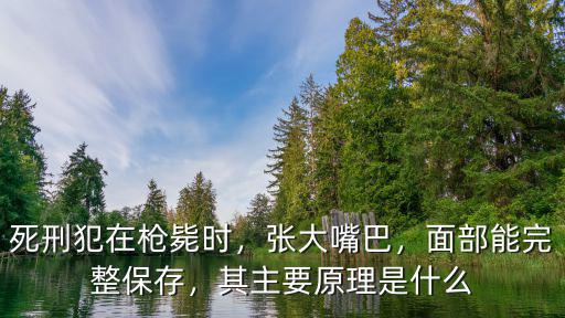 青島83年槍斃多少死刑犯,死刑犯在槍斃時