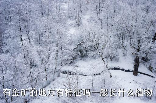 日照金礦有多少,有金礦的地方有特征嗎