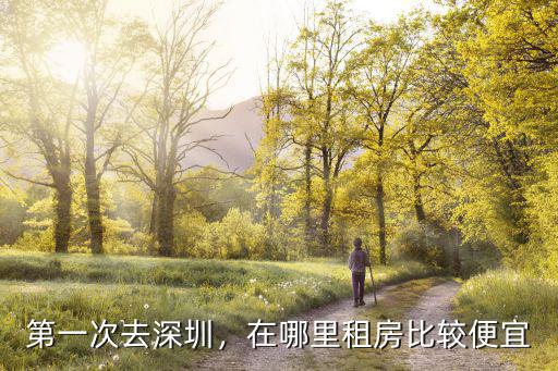 深圳受人歡迎要債哪里好,深圳哪里最受歡迎