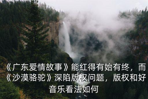 廣東愛情故事賣了多少版權,有多少人在廣東找到了愛情
