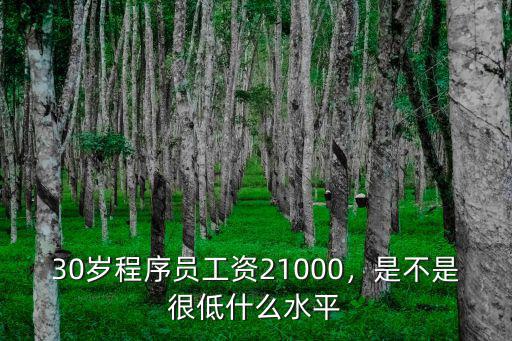 臨沂程序員工資一般多少,30歲程序員工資21000