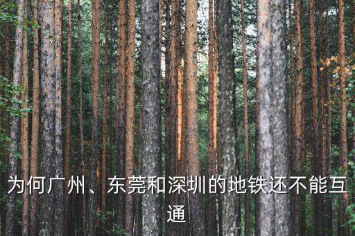 東莞連接深圳的地鐵多少條,東莞的地鐵能全部連通嗎