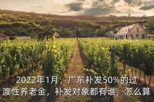 廣東補發(fā)養(yǎng)老金多少,養(yǎng)老金平均能漲多少錢