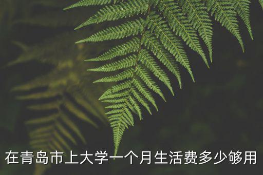 青島萊西大學(xué)一個月的生活費多少,一個月給多少生活費夠用