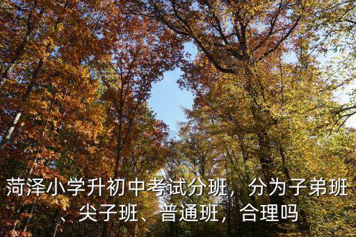 菏澤初中多少分才能進好班,初中要怎樣才能進好班
