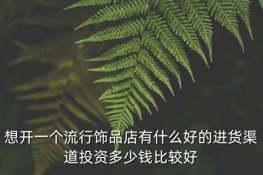 想開一個流行飾品店有什么好的進貨渠道投資多少錢比較好
