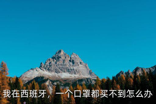 我在西班牙，一個口罩都買不到怎么辦