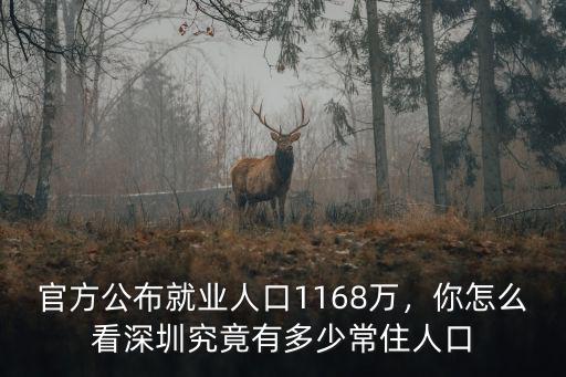 四川在深圳的常住人口有多少,官方公布就業(yè)人口1168萬