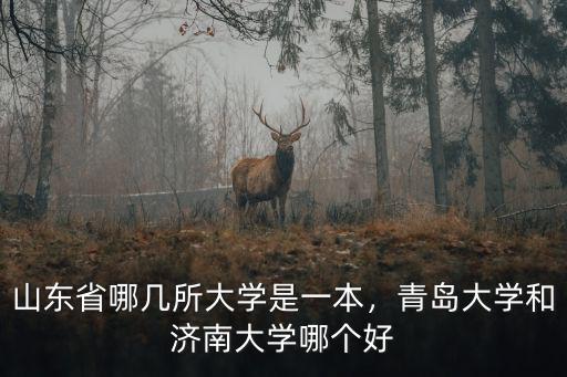 山東省哪幾所大學(xué)是一本，青島大學(xué)和濟(jì)南大學(xué)哪個(gè)好
