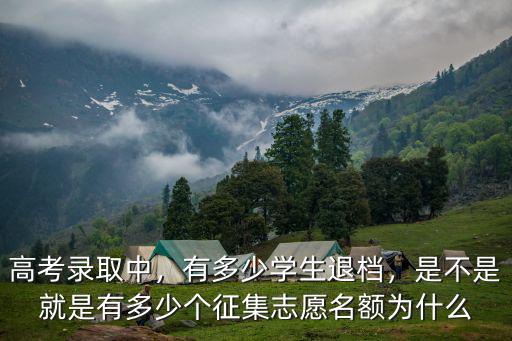 高考錄取中，有多少學生退檔，是不是就是有多少個征集志愿名額為什么