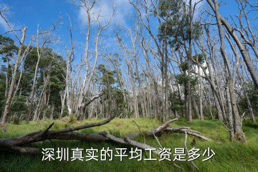 深圳市營業員平均工資怎么樣,深圳真實的平均工資是多少