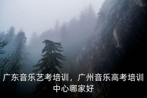 廣州音樂培訓班多少錢,廣州音樂高考培訓中心哪家好