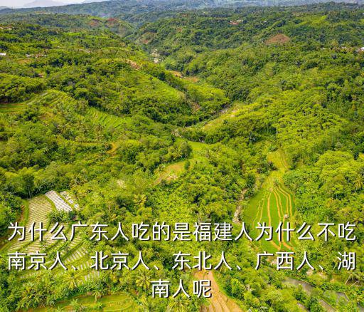 廣東人有多少人沒出省,為什么廣東人吃的是福建人