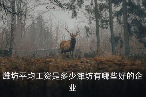 濰坊平均工資是多少濰坊有哪些好的企業
