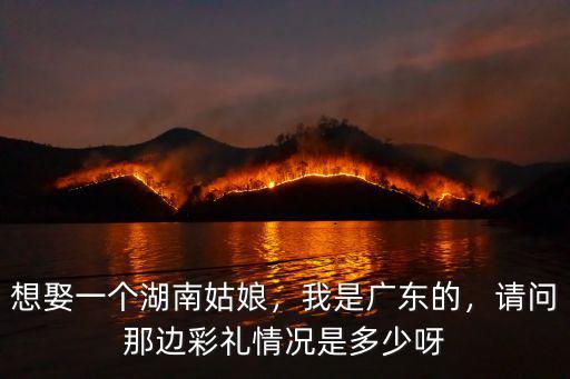想娶一個湖南姑娘，我是廣東的，請問那邊彩禮情況是多少呀