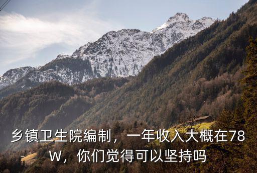 鄉鎮衛生院編制，一年收入大概在78W，你們覺得可以堅持嗎