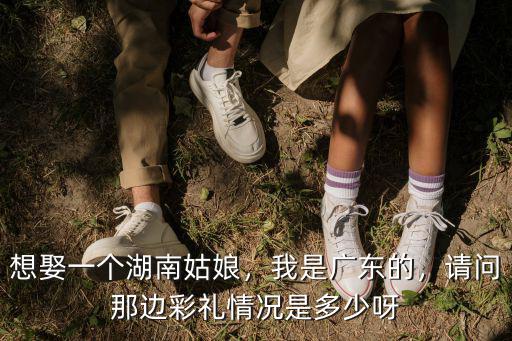 想娶一個湖南姑娘，我是廣東的，請問那邊彩禮情況是多少呀