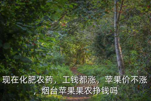 煙臺蘋果產量多少,煙臺蘋果果農掙錢嗎