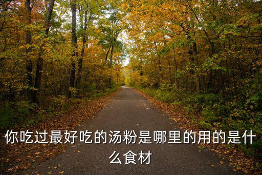 潮州哪里的湯粉最好吃,用的是什么食材