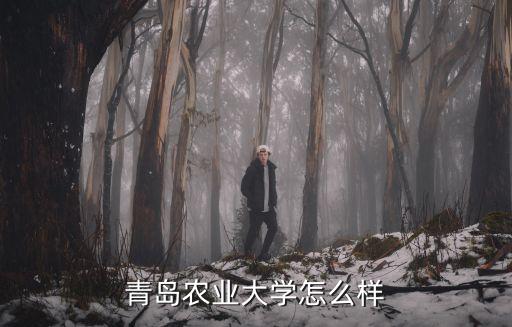 青島園林學校2018要多少分,青島農業大學怎么樣