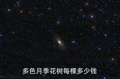 煙臺微型月季花多少錢一株,怎么養微型月季更好