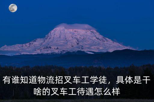 廣州嘉誠國際物流叉車工資怎么樣,有誰知道物流招叉車工學(xué)徒