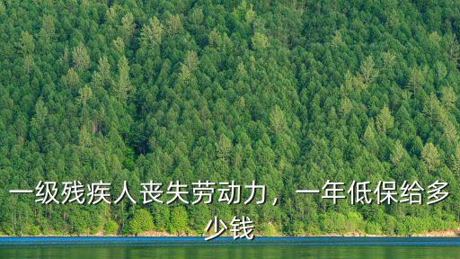 惠州一級(jí)殘疾補(bǔ)貼多少錢,一級(jí)殘疾人喪失勞動(dòng)力