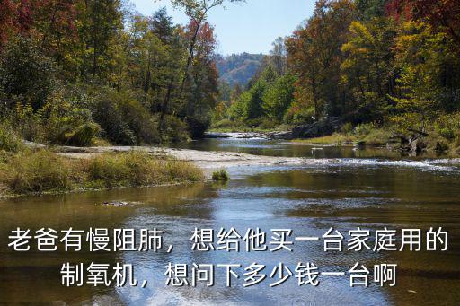 日照吸氧機多少錢一臺 家用,想問下多少錢一臺啊