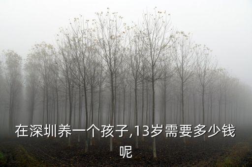 深圳晚托班多少錢一個小孩,在深圳養一個孩子