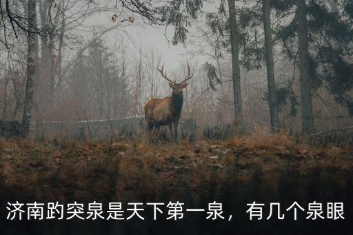 濟南趵突泉是天下第一泉，有幾個泉眼