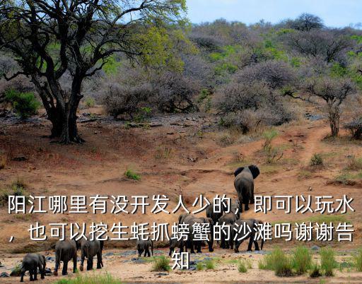 陽江市哪里的海可以挖海螺,陽江哪里有沒開發(fā)人少的