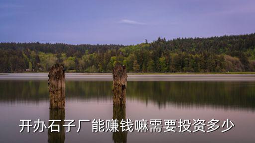 臨沂石子廠投資多少錢,臨沂城投和臨沂財金哪個好