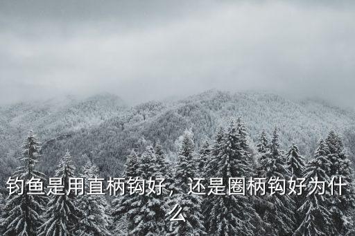 釣魚是用直柄鉤好，還是圈柄鉤好為什么