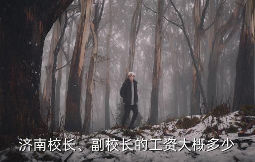 濟南校長、副校長的工資大概多少
